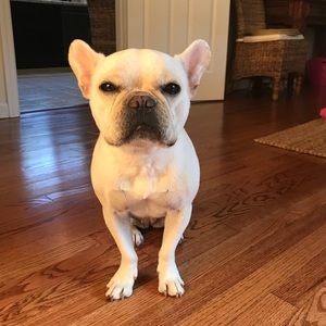 Meet your Posher, Maddie